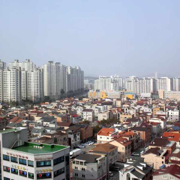 모던 다현포레스트 테라피 안내 이미지