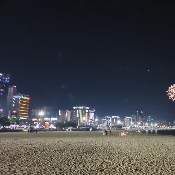 포레스트 미나스튜디오 테라피 대표 안내 이미지